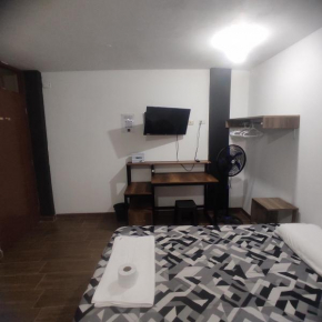 Habitacion con dos camas con cochera